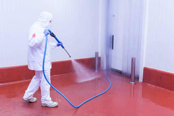 Professional Pressure Washing in St Croix Falls, WI