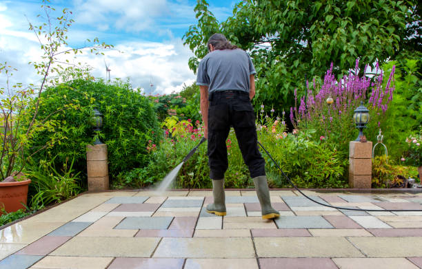 Animal Enclosure Cleaning in St Croix Falls, WI